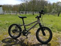 Kinderfahrrad MTB 14" zoll Rascal Zahnriemen MTB Niedersachsen - Dransfeld Vorschau