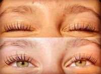 Wimpernlifting / Browlifting Schleswig-Holstein - Stafstedt Vorschau