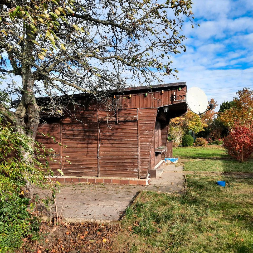 Kleingarten im KGV "Steinberg" in Callenberg in Chemnitz