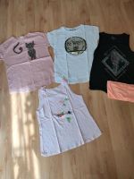 4 T-Shirts/Top Gr. 164, ZARA, Staccato, nicht oder wenig getragen Sachsen-Anhalt - Schkopau Vorschau