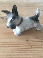 Porzellan Figur Tier Hund Terrier Geschenk Berlin - Mitte Vorschau