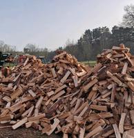 Kaminholz, Feuerholz Sachsen - Rothenburg Vorschau
