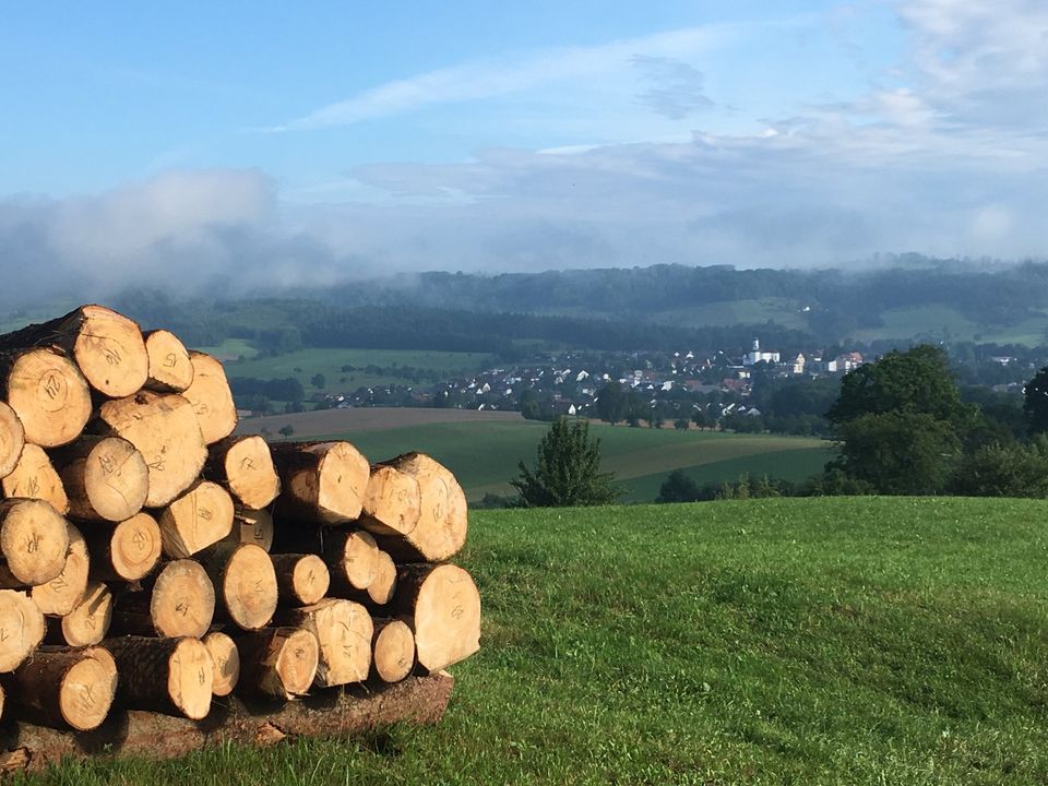 Motorsägenlehrgang, Motorsägenkurs, Motorsägenschein in Ottenbach