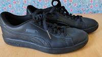 Puma Sneaker Gr 38, schwarz, neuwertig Berlin - Steglitz Vorschau