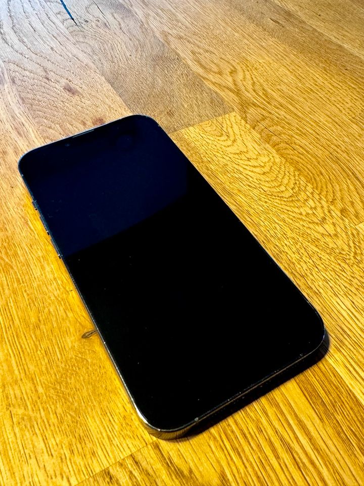 Apple iPhone 13 Pro 256GB Sierra Blau in Maulbronn
