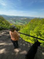 Garten oder Freizeitgrundstück in der Natur Kassels gesucht Hessen - Kassel Vorschau