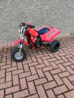 Lem Mini big Wheel trike Cross Quad SELTEN! Keine Ktm Yamaha Hond Brotterode-Trusetal - Trusetal Vorschau