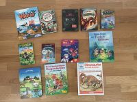 Buchpaket für Kinder zusammen 15€ Bayern - Dettelbach Vorschau