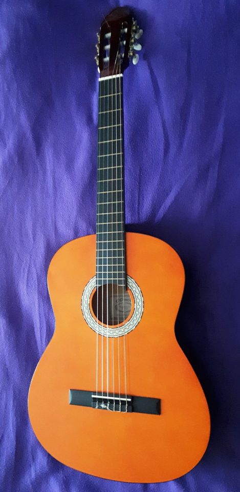 Gitarre Linkshänder / Lefthand - Acoustic Gitarre Model C. GIANT in Mannheim