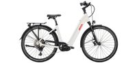 Victoria Manoc 6 Ebike, Trekking Ebike Bosch CX 750 bis 170kg zulässig UVP4499€ Bayern - Bad Grönenbach Vorschau