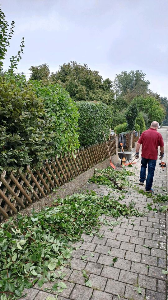 Gartenarbeiten Gartenpflege in Ingolstadt