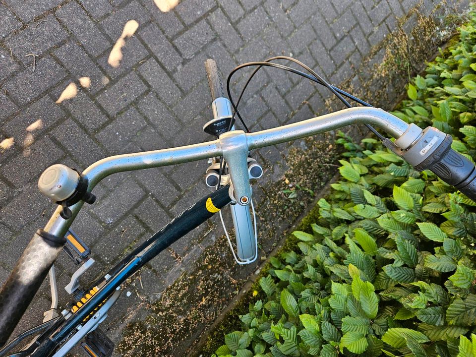 Damenfahrrad in Suderburg