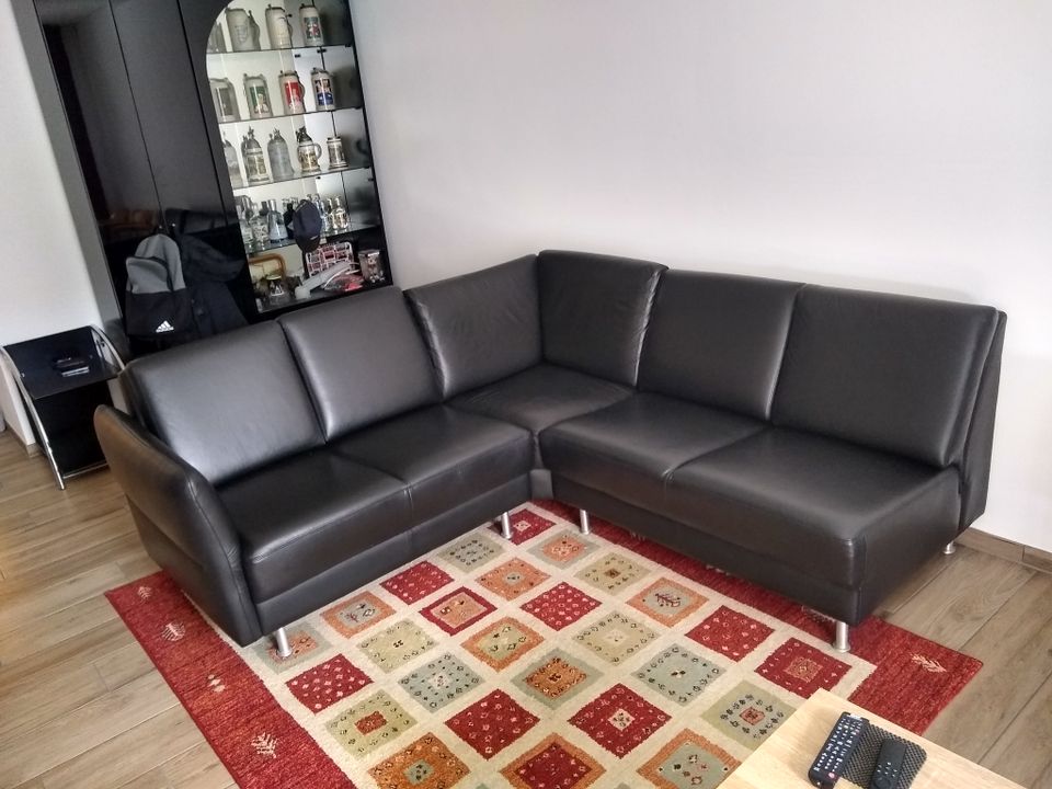 Ledercouch, Sofa, Wohnlandschaft, Couch in Haar