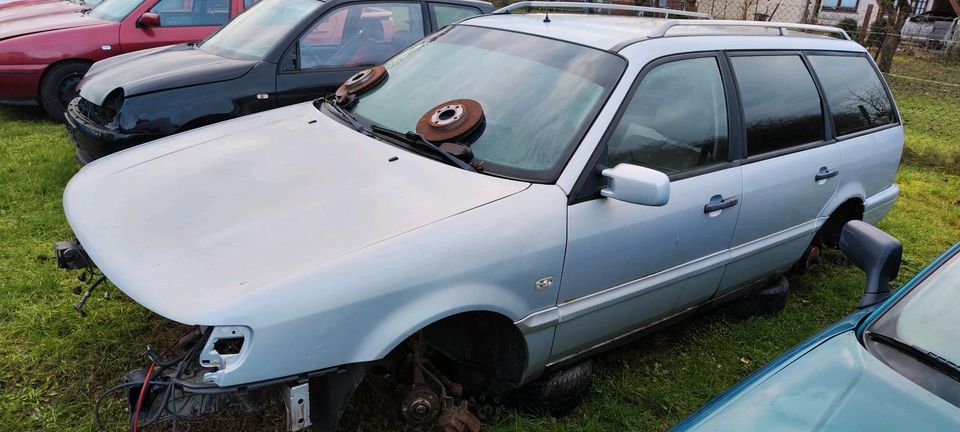 Schlachtfest Passat 35 i TDI Leder in Gnoien