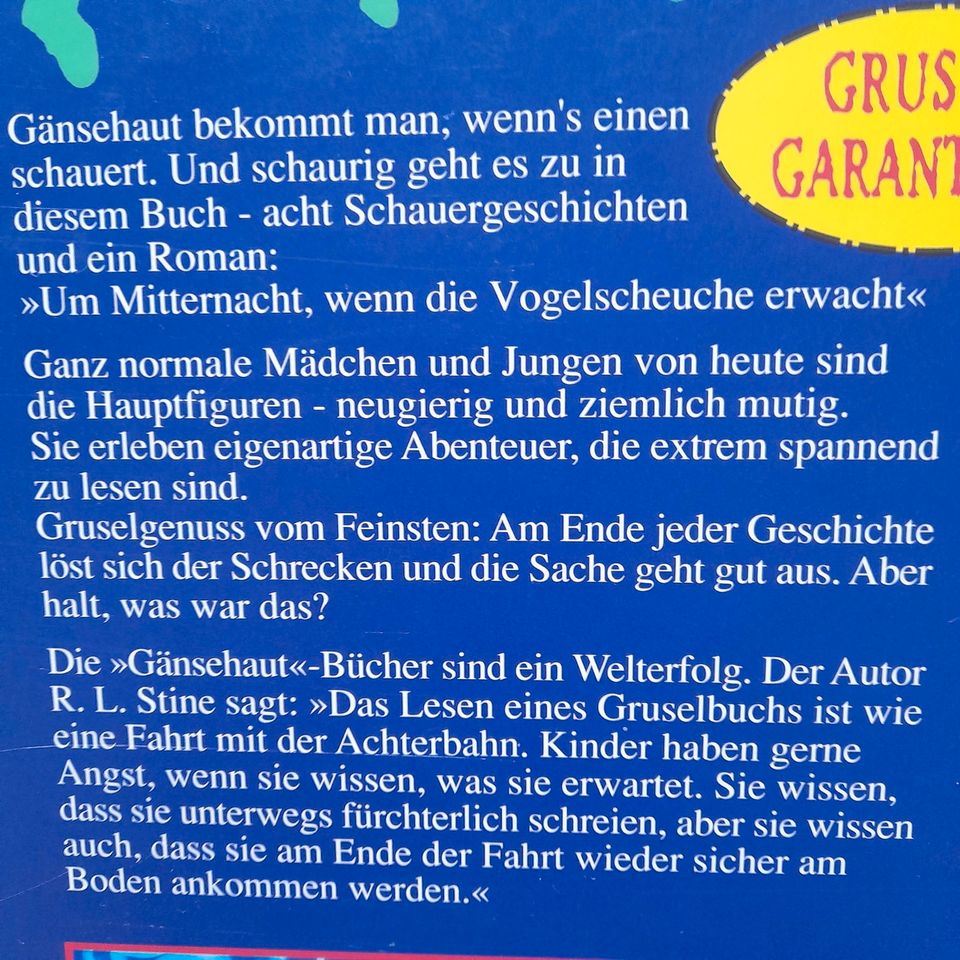 Robert L. Stine: Gänsehautgeschichten in Donaueschingen