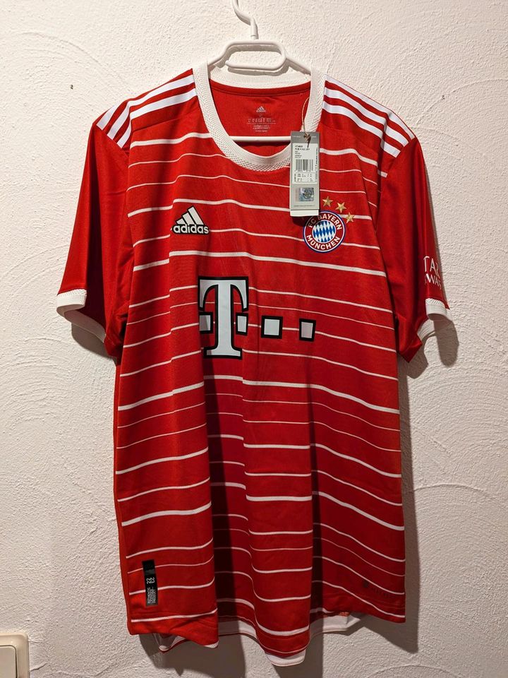 FC Bayern München Trikot Authentic Kimmich Spielertrikot in Melsungen