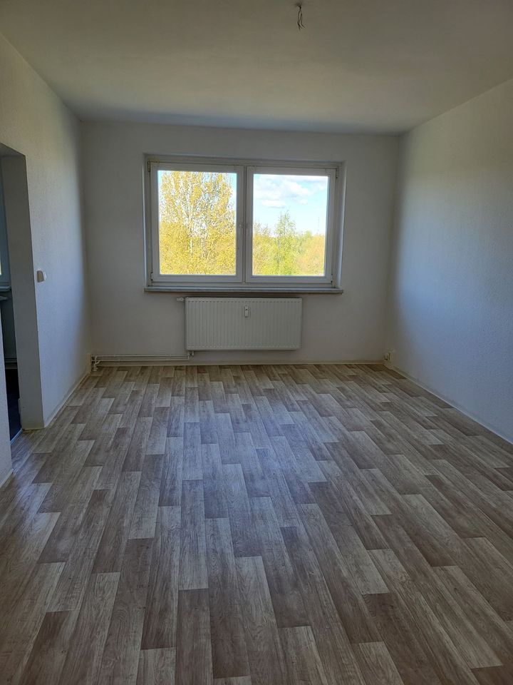 ** ruhig gelegene 3 Raum Wohnung ** Badewanne ** 3.OG ** in Schwerin