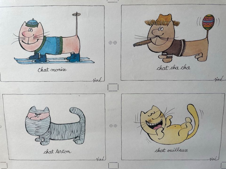 Poster Katzen witzig skurril Katzenposter in Willich
