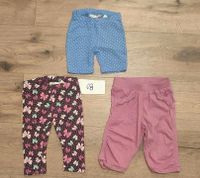 Leggings, Hose, Jeans, Gr. 68 Rheinland-Pfalz - Plaidt Vorschau