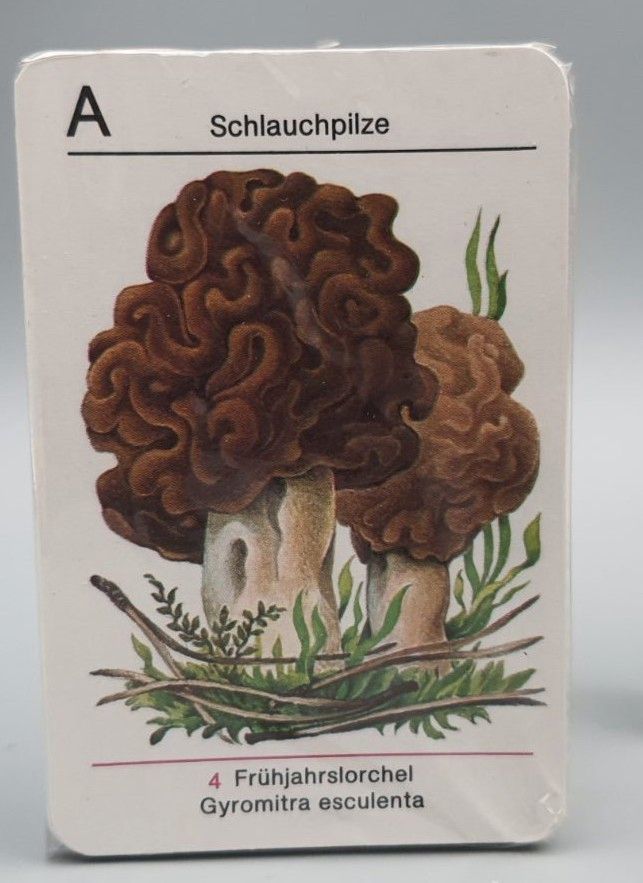 Vintage, Pilze kennen, Pilze sammeln Altenburger Spielkarten in Hamburg