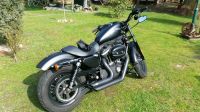 Harley Davidson Sportster 883, 13200km Sachsen-Anhalt - Burg Vorschau