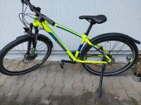 MORRISSON Tucano Sport 29" Fahrrad Mountainbike Baden-Württemberg - Schiltach Vorschau