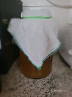 Kombucha Scoby zur Selbstherstellung von Kombucha Baden-Württemberg - Öhringen Vorschau