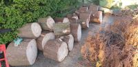 5 bis 6 m3 Kubikmeter Holz  Feuerholz Brennholz OfenholzKaminholz Hamburg-Mitte - Hamburg Hamm Vorschau