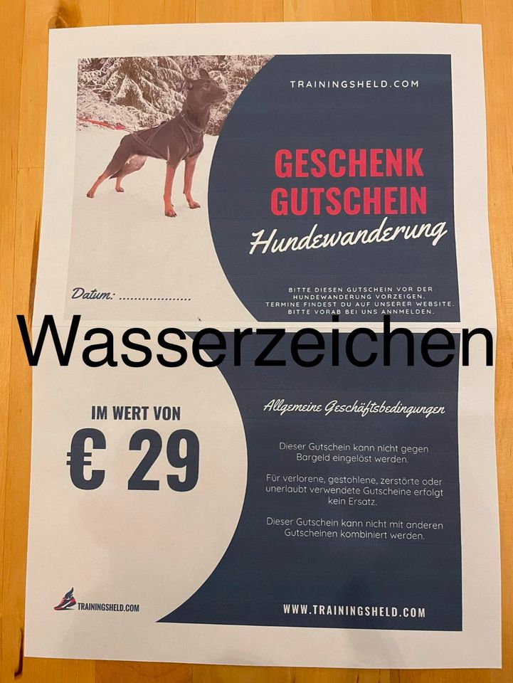 Gutschein Hundewanderung 29.- € Trainingsheld.com in Heidelberg