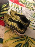 Nike Air Max tn Nordrhein-Westfalen - Iserlohn Vorschau