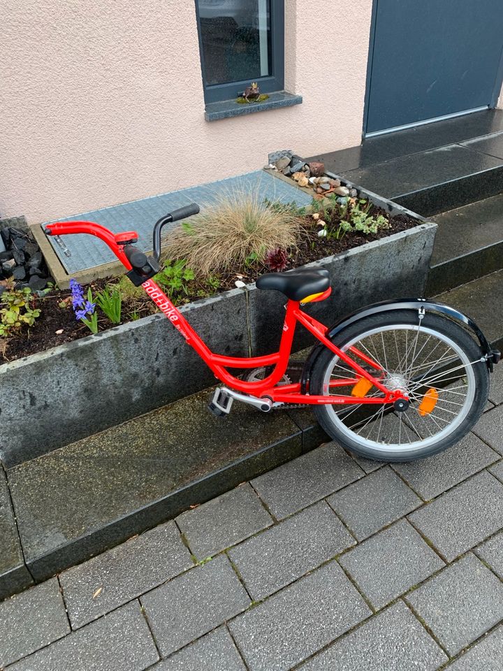 add+bike Nachlaufrad von Roland in Steinheim an der Murr