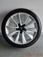 Tesla Sport Felgen 19" Hankook Ventus S1 Evo3 235/40 Sommerreifen Nordrhein-Westfalen - Waltrop Vorschau