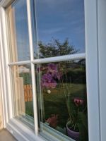Fenstersprossen Sprossenfenster Nachrüstsprossen Kunststoffspross Bayern - Rimsting Vorschau