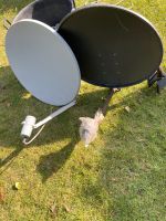 2 Satelliten Schüsseln Brandenburg - Finsterwalde Vorschau