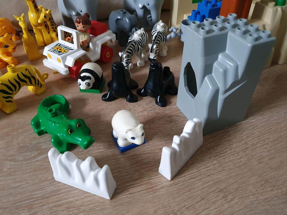 Lego Duplo Zoo 3D Berg Tier Pflegerin Elefant Tiger Giraffe Löwe in Ammersbek