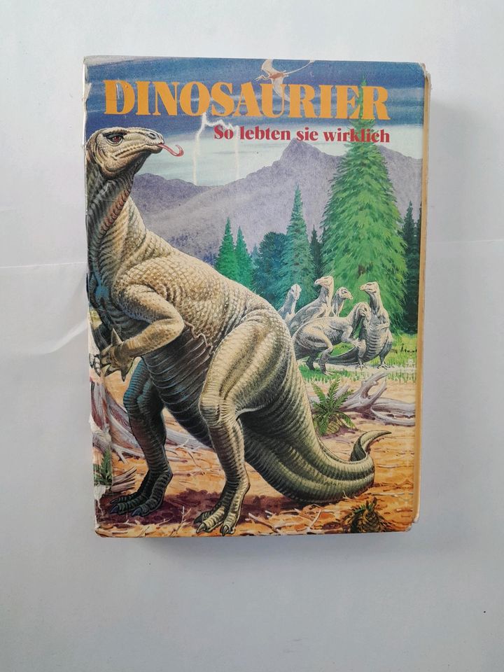 Dinosaurier  Kinder Wissensbuch in Bergisch Gladbach