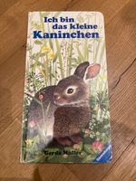 Ich bin das kleine Kaninchen Großausgabe Maxi selten Gerda Mulle Bayern - Prutting Vorschau