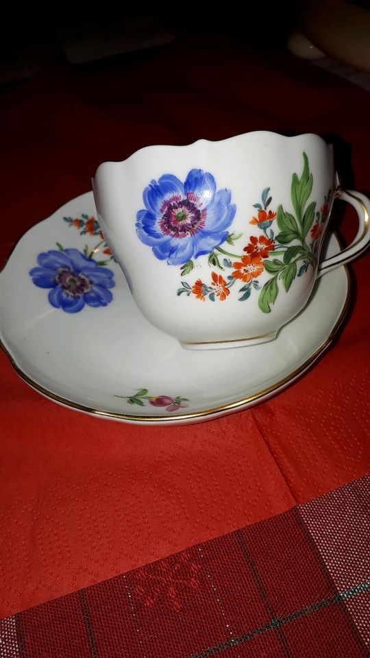 Meissner Porzellan Tasse in Loxstedt