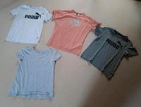 4 T-Shirts / Sport T-Sirts, Adidas, Puma, H&M Niedersachsen - Uelzen Vorschau