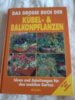 Das große Buch der Kübel -& Balkonpflanzen Niedersachsen - Südbrookmerland Vorschau