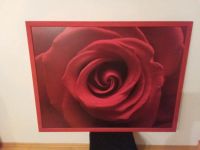 Ikea Rosenblüte  96 x 126 cm Niedersachsen - Balje Vorschau