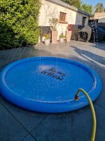 Wasserspielzeug Hundepool Sommer Sprinkler Planschbecken Rheinland-Pfalz - Mainz Vorschau