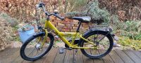 Falter FX 203 20 Zoll Fahrrad Kinderfahrrad grün Kreis Ostholstein - Ahrensbök Vorschau