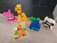 Lego duplo 10573 Lustige Tiere (ohne Verpackung) Niedersachsen - Sickte Vorschau