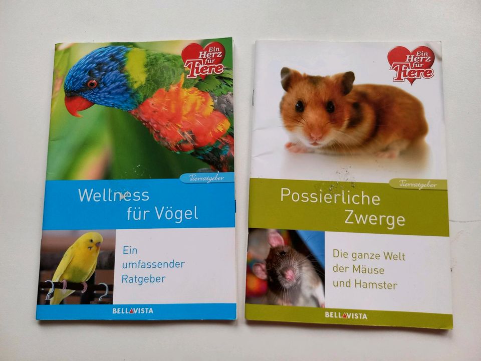 Wellness für  Vögel + Possierliche Zwerge.Ein Herz für Tiere. in Berlin