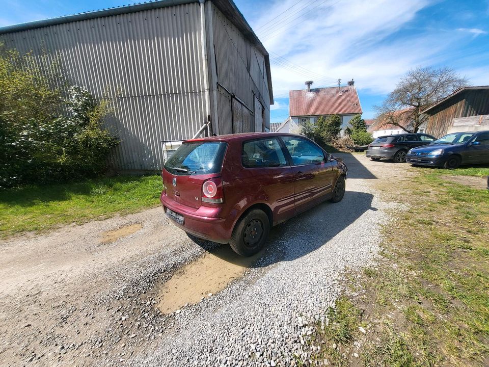 Vw Polo 9n2 1.4 16v Benzin in Krauchenwies