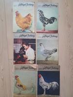 6 Zeitschriften Deutsche Geflügel-Zeitung DDR 1962 Sachsen - Hohenstein-Ernstthal Vorschau
