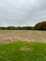 Wiese Garten landschaft Nordrhein-Westfalen - Burscheid Vorschau