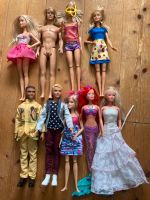 **Konvolut, 9 Barbie, Ken, Puppen, Top** Nordrhein-Westfalen - Bad Salzuflen Vorschau