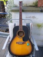 Johnson JD-40FE Elektro Akustik Gitarre massive Decke defekt Rheinland-Pfalz - Koblenz Vorschau